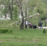 Упала береза.jpeg - Электрогорские вести