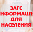 загс.jpg - Электрогорские вести