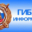 Информация ГИБДД - Городской округ Электрогорск